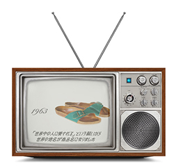 Promotional Video and TVCM